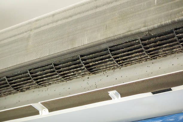 Best Emergency Air Duct Cleaning  in Bradley Beach, NJ